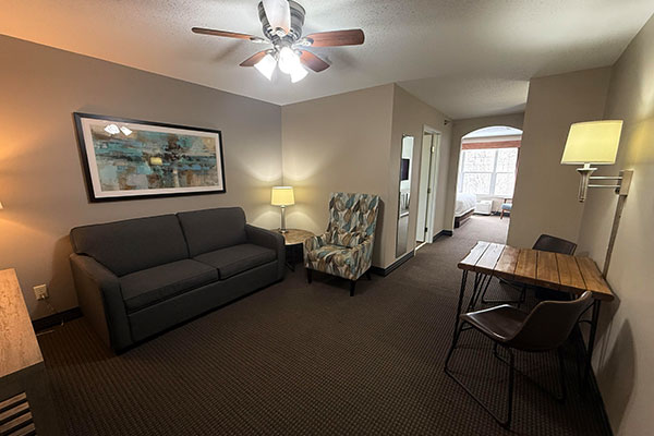 1 King Bed, Sofa Bed, Premier Suite